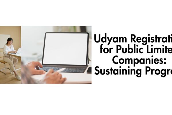 Udyam Registration for Public Limited Companies: Sustaining Progress